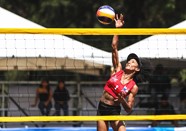 Gonzalez Wilson Pan 5