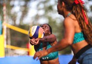 Sabal Pilgrim Biz 2 (3)