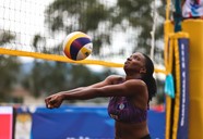 Sabal Pilgrim Biz 2 (4)